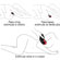 Silicone Rotating Ring - 12Kiss - Anel Rotativo (Imagem 3 de 3)
