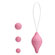 Sexual Exercise - Kegel Ball - Pompoarismo (Imagem 1 de 4)