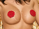 Nipple com Rosinhas Vermelhas - Tapa mamilos