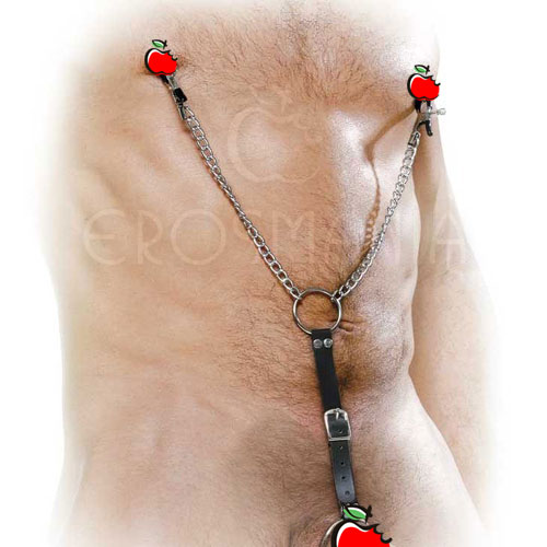 Cockring & Nipple Clamps Silver - Grampos e anel