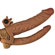 Double Pleasure Stimulation Brown 2"- Capa D.P. (Imagem 2 de 3)