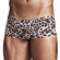 Cueca Erótica Capote Selvagem (Imagem 1 de 2)