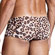 Cueca Erótica Capote Selvagem (Imagem 2 de 2)