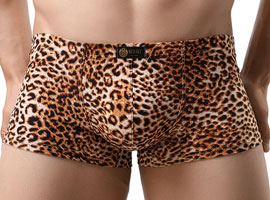 Cueca Erótica Oncinha