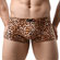 Cueca Erótica Oncinha (Imagem 1 de 2)