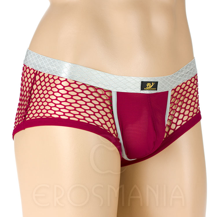 Cueca Sunga Erótica Arrastão - Christian - Bordô