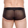 Cueca Transparente Tule Preto (Imagem 3 de 3)