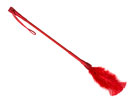Chibata com Penas - Fetiche Caricias