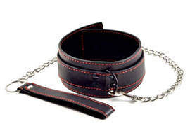 Collar and Leash Set - Coleira com Guia Canina