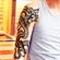Tatuagem temporária - Dragon Shenlong (Imagem 3 de 3)