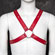 Arreio Masculino com Argola - Red (Imagem 1 de 2)