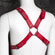 Arreio Masculino com Argola - Red (Imagem 2 de 2)