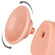 Sliding Skin Dual Layer Dong Flesh 9,5" pele dupla (Imagem 4 de 5)
