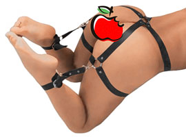 Arreio Harness OMG - com algemas