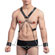 Harness com Algemas, Correntes e anel peniano (Imagem 1 de 3)