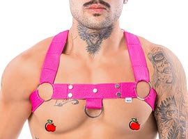 Arreio Masculino Pink Rebites e Argolas Arreio Masculino Pink Rebites e Argolas