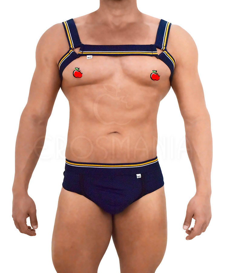 Conjunto Jock e Harness Azul